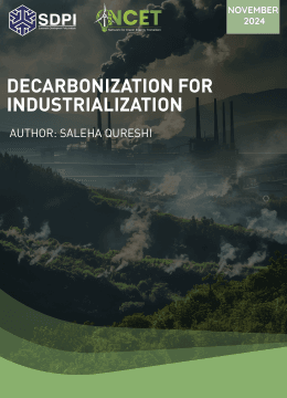 Decarbonization for Industrialization