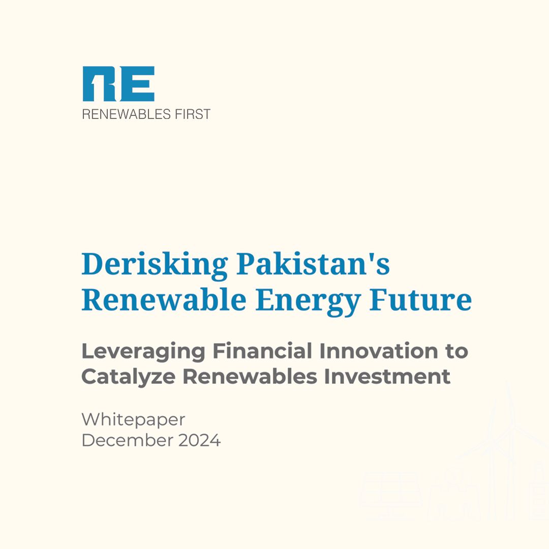 Derisking Pakistan's Renewable Energy Future 